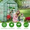Walk-in Gardening Greenhouse with Observation Windows and Zipper Roll-up Door